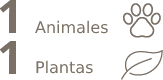 foto_iconos_key_3.png